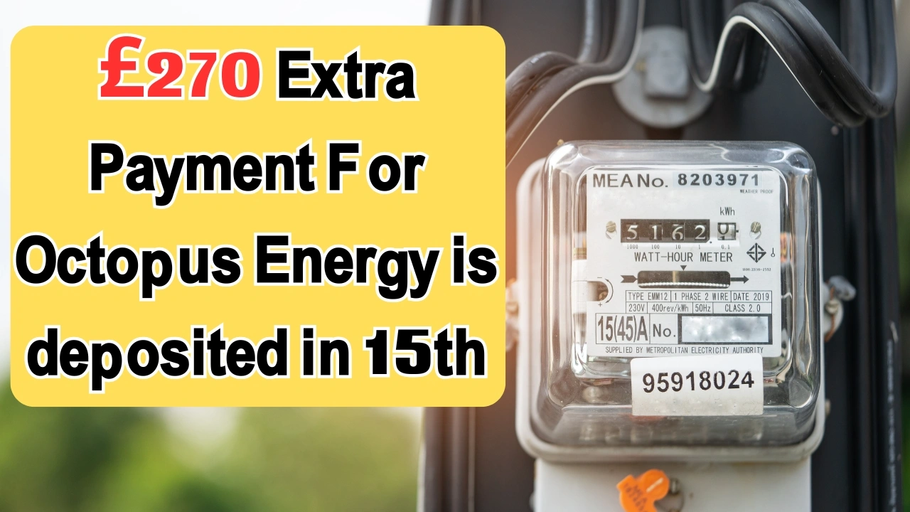 Extra Payment For Octopus Energy